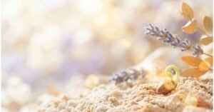 fotografía en colores suaves de la tierra y una semilla brotando, simbolizando que al sembrar calma, cosechas cambio